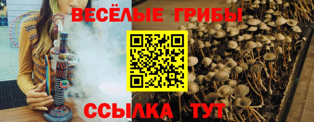 Марихуана Горно-Алтайск