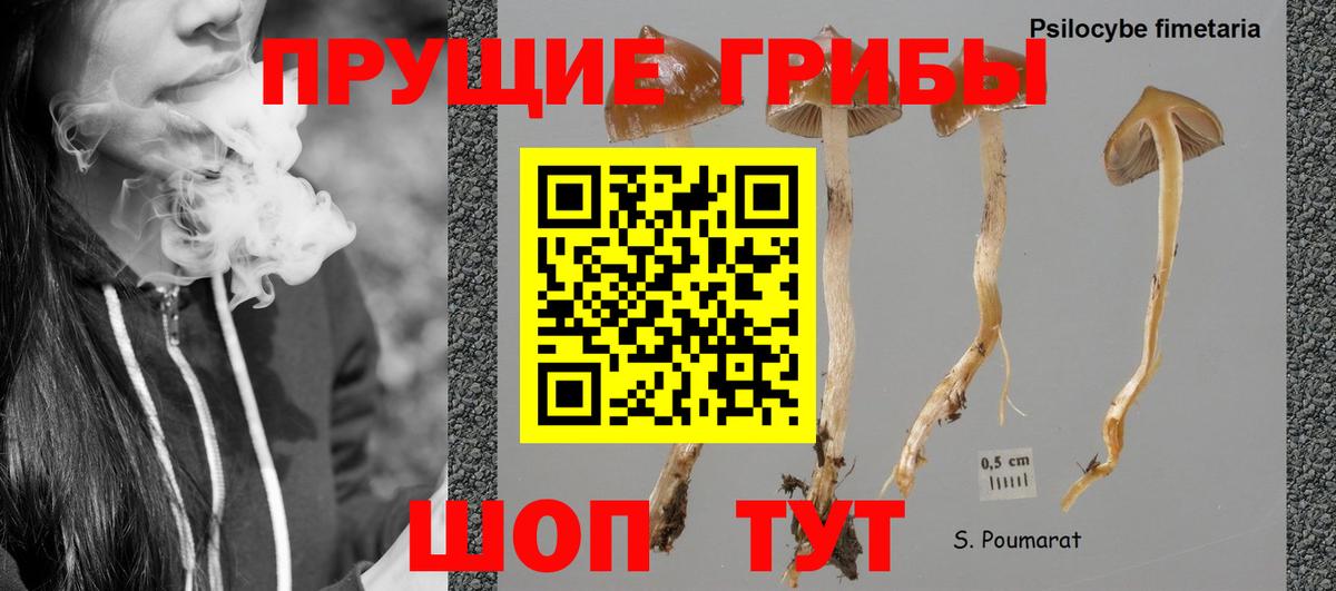 Псилоцибиновые грибы мухоморы  Галлюциногенные грибы GOLDEN TEACHER  Горно-Алтайск  Вход с VPN 